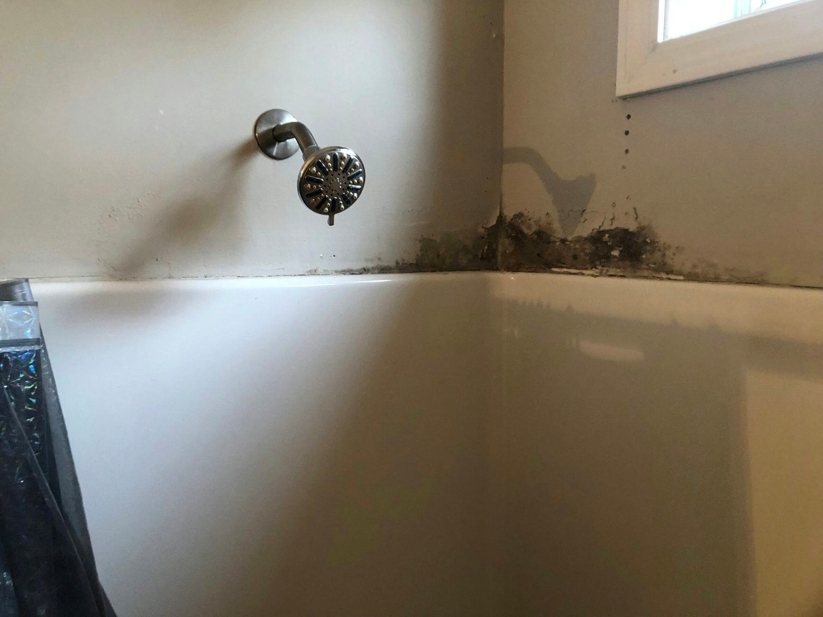 Cómo limpiar azulejos de baño con moho: trucos y consejos